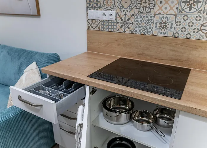 Your Alzbetina 아파트